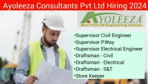 Ayoleeza Consultants Pvt Ltd Vacancy 