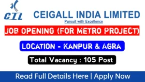 Ceigall India Limited Recruitment 2024 