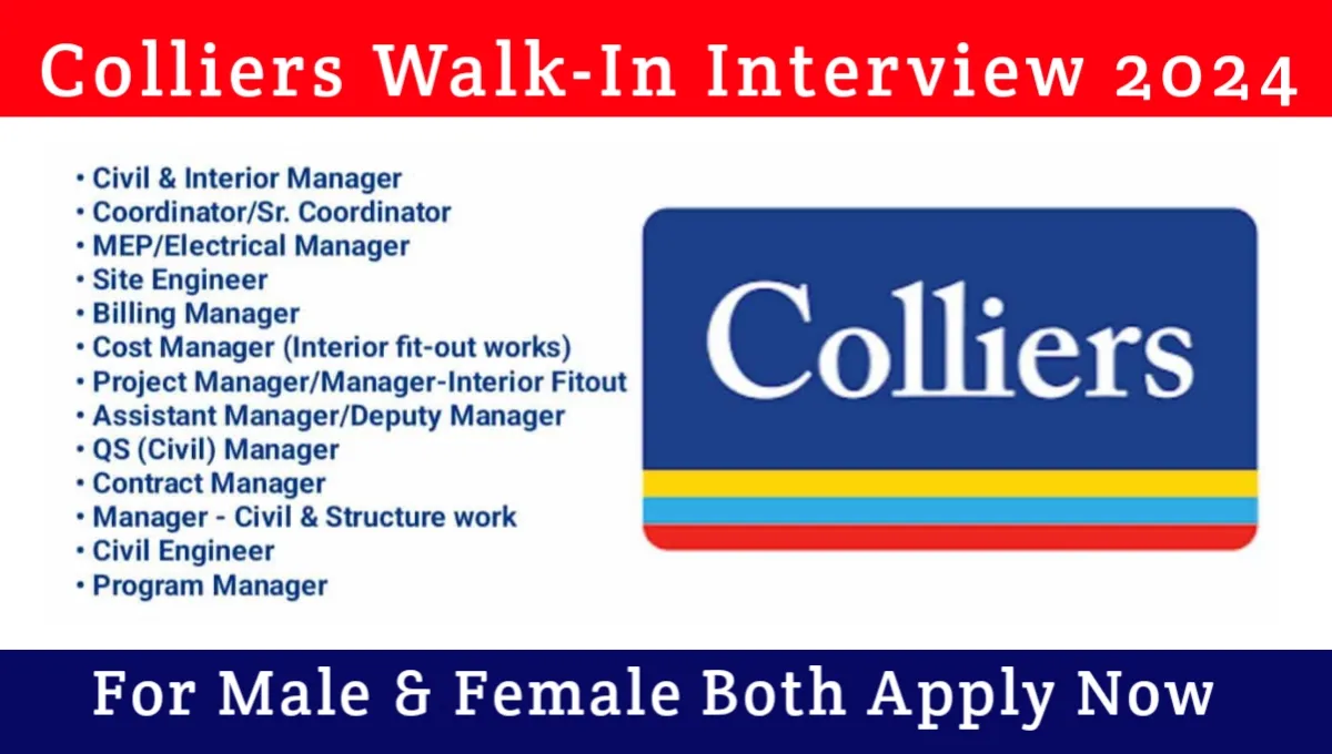 Colliers Walk-In Interview 2024