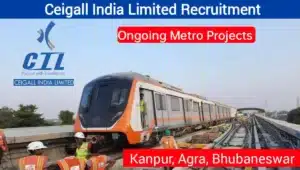 Ceigall India Ltd Job Vacancy