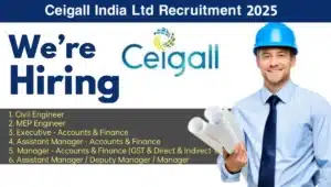 Ceigall India Ltd Hiring 2025